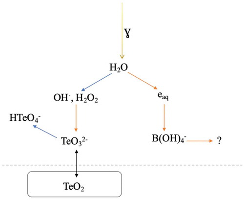 Fig. 6. Schematic presentation of the system with the TeO2 precursor in ABS without the sodium thiosulfate additive