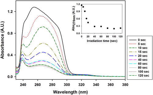 Figure 3. UV–Vis spectra of the VBT:VBA4 copolymer (0.4% AIBN) washed solution at various irradiation times. Inset: Evolution of the absorbance at 270 nm as function of irradiation time.