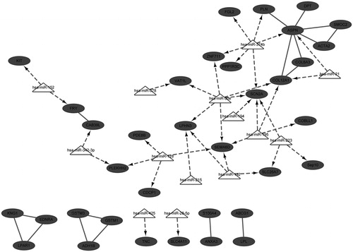 Figure 2. Integrated network for down-regulated differently expressed genes.