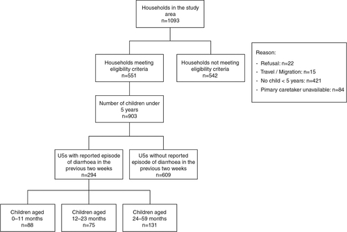 Fig. 1 Summary of household survey. Total number of children aged 0–11 months: n=208; 12–23 months: n=157; 24–59 months: n=538.