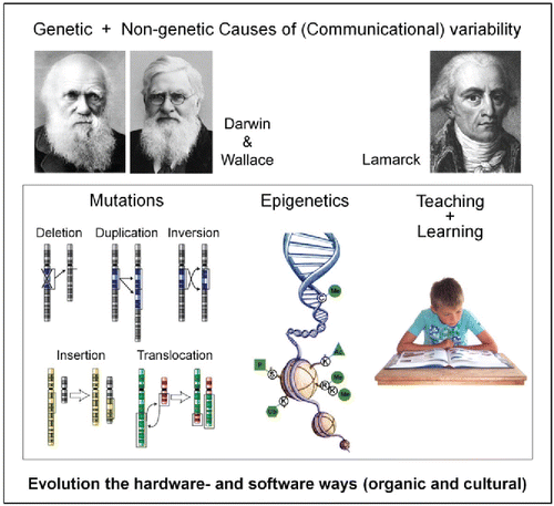 Figure 4. Major genetic and non-genetic causes of (Communicational) variability. Not only Charles Darwin, but his contemporary Alfred Russel Wallace as well, independently conceived the theory of evolution through natural selection. Jean-Baptiste Pierre Antoine de Monet, Chevalier de Lamarck (1744–1829) but commonly referred to as simply Lamarck is best known for his theory of inheritance of acquired characteristics that was proven wrong in the context of classical genetics (pictures from Wikipedia, with thanks). Epigenetics is a form of temporary transfer of genetic information (through DNA- and/or histone modification) to the next (few) generation(s). According to some researchers such transfer is Lamarckian in nature. Cultural evolution is also mainly Lamarckian in nature.