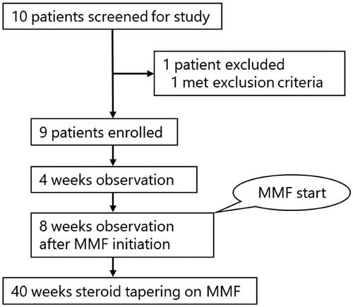 Figure 1. Trial profile. Ten patients with NMOSD were screened; nine patients were enrolled. After a 4-week observation period, steroid reduction was initiated 8 weeks later. MMF was administered for 48 weeks. MMF; mycophenolate mofetil, NMOSD; neuromyelitis optica spectrum disorder.