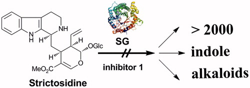 Figure 5. Future production strategy of strictosidine by inhibition of SG in R. serpentina cell suspension cultures.