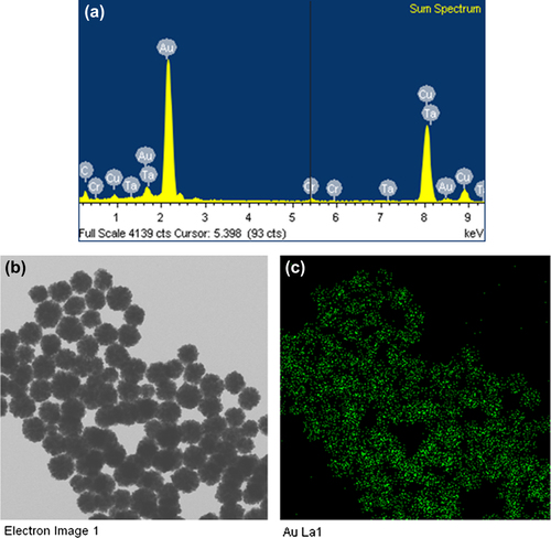 Figure 4. EDX spectrum of F-shaped gold nanoparticles (a), elemental mapping results indicates distribution of elements, TEM micrograph of F-shaped gold nanoparticles pellet solution (b), and F-shaped gold nanoparticles; green (c), respectively.