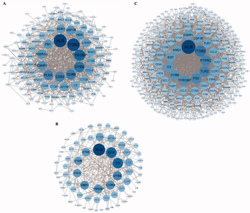 Figure 6. PPI network of different expression genes (A) Glomerular compartments DEGs, (B) Tubulointerstitial compartments DEGs, (C) Glomerular and tubulointerstitial compartments DEGs.