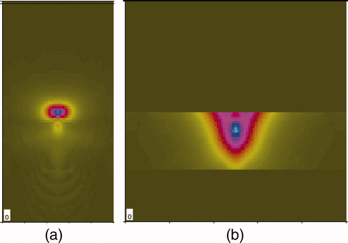Figure 4. The modeling result of backward and forward beam sound field focused at middle of thickness. (a) C-scan image. (b) B-scan image.