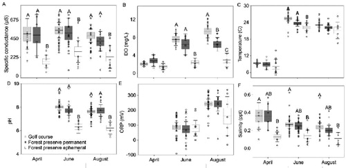 Figure 1. Boxplots representing specific conductance (µS/cm), dissolved oxygen (DO; mg/L), temperature (°C), water pH, oxidation–reduction potential (ORP) and salinity (Sal; ppt), within golf course (n = 25 forest preserve permanent (n = 15), and forest preserve ephemeral ponds (n = 15) in April, June, and August 2017. Different upper-case letters indicate statistical significance (p ≤ 0.05) within months using Tukey HSD test. Line represents mean, boxes represent standard error, and whiskers represent 95% confidence intervals. Open circles are data values.