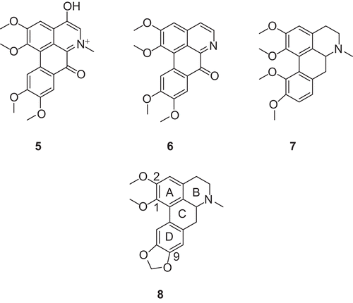 Figure 2.  Structures of known aporphinoid AChE inhibitors (5, 6 and 7) and nantenine (8).
