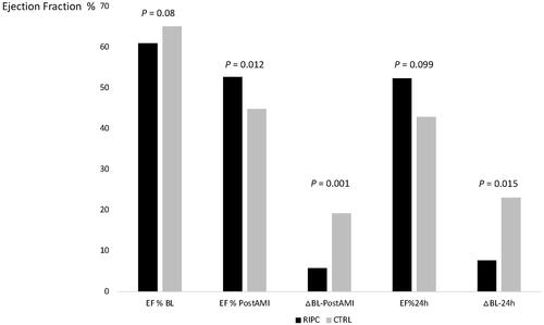 Figure 4. A bar graph showing the median (and 25th and 75th percentiles) of left ventricle ejection fractions at baseline (EF % BL), post-infarction (EF % PostAMI), and at 24 h after instituting reflow to the left circumflex artery (EF % 24 h). The decrease in EF values from the baseline to the post-infarct values (ΔBL-PostAMI) and to the 24-h evaluation (ΔBL-24 h) are also shown. Independent samples t-test was used and the p-values: EF % BL p = 0.08; EF % PostAMI p = 0.01; ΔBL-PostAMI p = 0.001; EF % 24 h p = 0.01; ΔBL-24 h p = 0.01. RIPC: remote ischemic preconditioning, n (RIPC) = 14, n (control) = 14 at the baseline and post-infarction timepoints, and n (RIPC) = 7, n (control) = 7 at the 24-h timepoint.