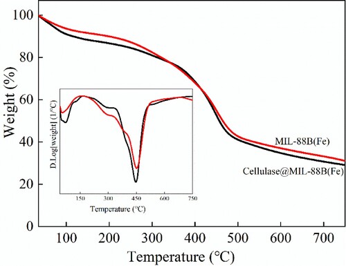 Figure 4. Thermogravimetric(TGA) curves of MIL-88B(Fe) and Cellulase@MIL-88B(Fe) composites.