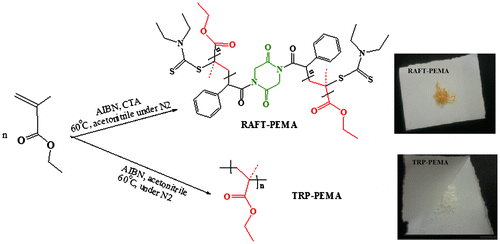 Scheme 3. PEMA synthesis routes via RAFT and free radical polymerization systems.