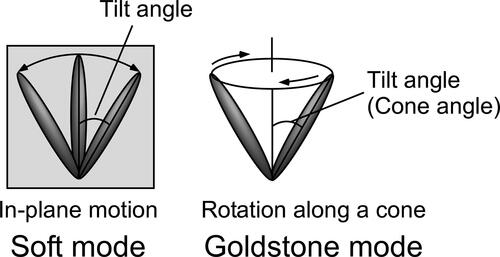Figure 11. Soft mode and Goldstone mode.