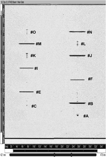 Figure 11. C-Scan signals of flaws detected by using backward transducer.