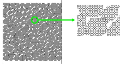 Figure 6. Numerical specimen.