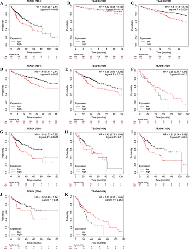 Figure 2 Correlation between TEAD4 and clinical characteristics in poor HCC patients.