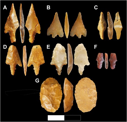 Figure 9 Typical retouched chert artefacts. A–F Arrowheads: A–B, D–E Ha-Parsa points; C, F Herzliya points. G Plano-convex tool. Scale is 2 cm long.