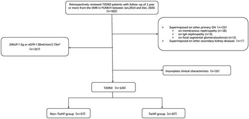 Figure 1. The flowchart of patient screening.T2DKD: type 2 diabetic kidney disease; EMR: electronic medical records; GN: glomerulonephritis; 24hUP: 24-h proteinuria; eGFR: estimated glomerular filtration rate; TwHF: Tripterygium wilfordii Hook F.