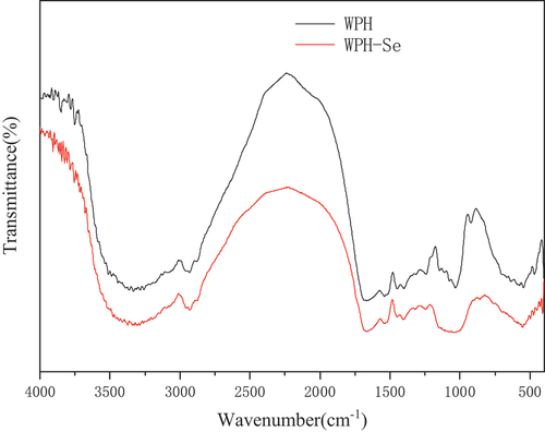 Fig. 3 FTIR spectra of WPH and WPH-Se chelate