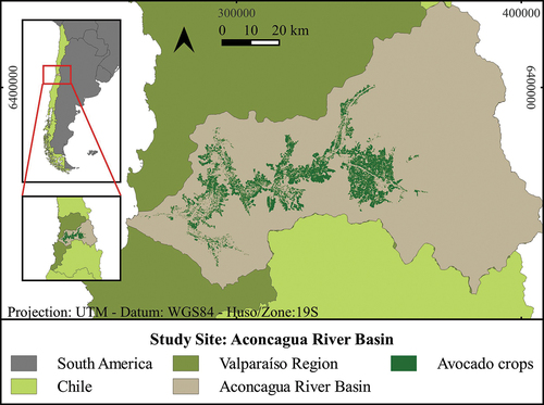 Figure 1. Spatial distribution of avocado crops at the Aconcagua river basin in the Valparaíso region of central Chile.