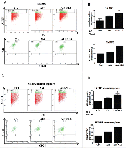 Figure 2. Flow cytometric assessment of cancer stem-like cell populations by the combination of stem cell markers ALDH, CD24 and CD44, upon overexpression of Akt-WT and Akt-NLS. (A) Akt-NLS transfected SKBR3 cells showed enhanced presence of the ALDH+/High/CD44+/High/CD24−/Low CSCs phenotype when compared to control. Akt-WT cells failed to show a marked increase in the expression of CSCs markers in SKBR3 cells. (B) Graph representing quantification of markers assessed in “A.” Enhanced expression of Akt-NLS showed a significantly increase in the CSCs population compared to Akt-WT and control. (C) Presence of Akt-NLS in SKBR3-mammospheres coincided with a higher number in ALDH+/High/CD44+/High/CD24−/Low CSCs population compared to control. Akt-WT expressing cells failed to show a marked increase in ALDH+/High/CD44+/High/CD24−/Low CSCs in SKBR3 mammospheres. (D) Graph representing quantitative evaluation of expression of markers assessed in “C.” SKBR3 cells transfected with Akt-NLS showed a significantly increased CSCs population as compared to Akt-WT cells and mock controls, *P < 0.05.
