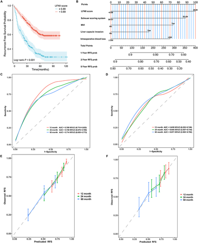 Figure 4 LFNII score-based nomogram model construction and validation. (A) The Kaplan–Meier (KM) curve demonstrates the association of high LFNII with shorter post-operative recurrence-free survival. (B) LFNII score-based nomogram model for predicting postoperative recurrence in patients with AFP-NHCC. (C) LFNII-nomogram receiver operating characteristic (ROC) curve for predicting the 12-, 24-, and 60-month RFS in the training set. (D) ROC curve of the LFNII-nomogram for the 12-, 24-, and 60-month RFS in the validation set. (E) LFNII-nomogram calibration curve: predicted and observed 12-, 24-, and 60-month RFS in the training set. (F) LFNII-nomogram calibration curve: predicted and observed 12-, 24-, and 60-month RFS in the validation set. LFNII, liver function-nutrition-inflammation-immune; MVI, microvascular invasion; AUC, Area Under the Curve; RFS, Recurrence-Free Survival. AFP-NHCC, alpha-fetoprotein-negative HCC.