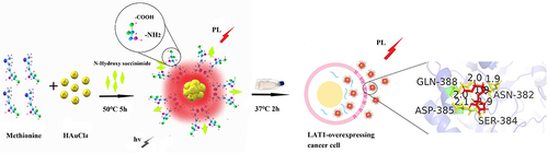 Figure 1 Met-NHs-AuNCs Au nanoclusters form and show high specificity in cancer cells.