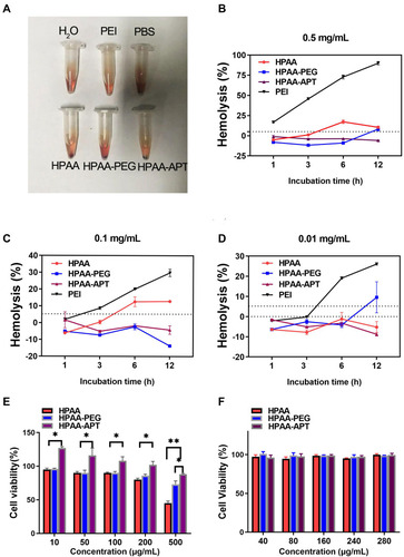 Figure 5 The blood safety and toxicity of HPAA derivatives. (A–D) The hemolysis effect of the different concentrations of HPAA derivatives and PEI. (E) CCK-8 results of different concentrations of HPAA derivatives to LNCaP cells. (F) CCK-8 results of different concentrations of HPAA derivatives to HUVEC cells. *p<0.05, **p<0.05.