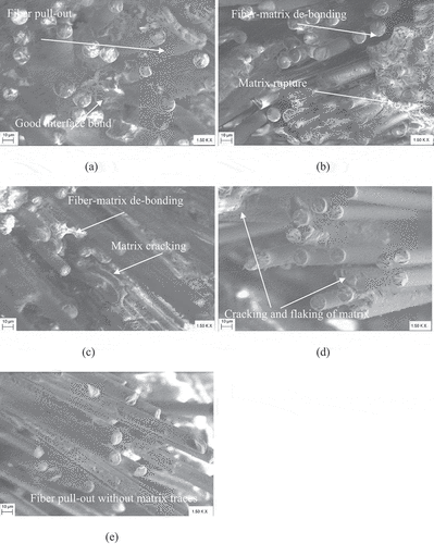Figure 6. Micrographs of fractured surface
