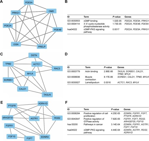 Figure 7 Top 3 modules from the PPI interaction networks.Notes: A: module 1; B: the enriched GO term and pathways of module 1; C: module 2; D: the enriched GO term and pathways of module 2; E: module 3; F: the enriched GO term and pathways of module 3.