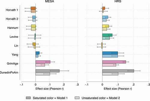 Figure 1. Effect size (Pearson r) estimates for SES Index-Clock associations in MESA (n = 1,211) and HRS (n = 4,018).