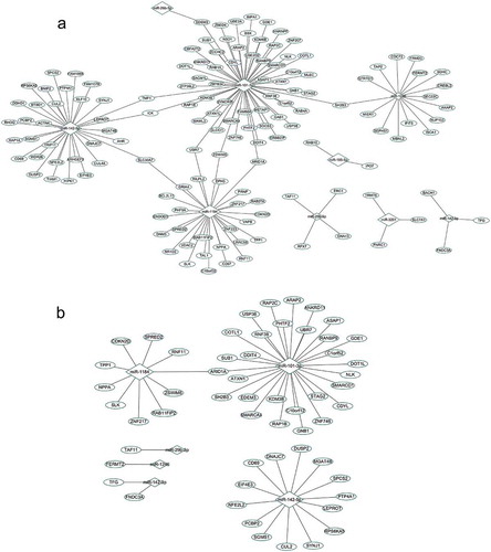 Figure 1. Networks constructed by the DEMIRs and DEGs.(a). Regulatory networks constructed by all negatively correlated miRNAs and target mRNAs (listed in Table S1). (b). Regulatory networks constructed by highly correlated miRNA-mRNA pairs (r< −0.4).