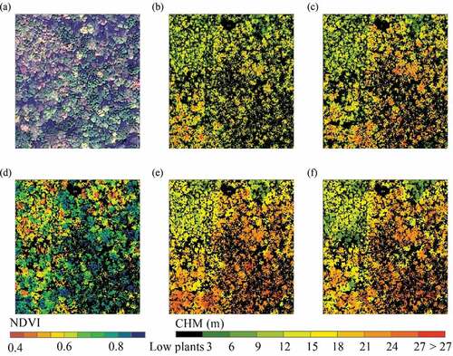 Figure 3. Comparison of CHM derived from ALS point clouds and VHR stereo data for a densely woody area in Pine Quarry Park. The aerial photo (a) and NDVI (d) was derived from VHR satellite imagery. (b) and (c) are the CHM derived from ALS point clouds for 2011 and 2015, respectively. (e) and (f) are the CHM derived from VHR stereo imagery for 2011 and 2015, respectively.