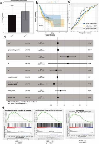 Figure 6. The effect of RP11-21C4.1 on the prognosis of GC. (a) The expression value of RP11-21C4.1 in FAT2-mutant and FAT2-wildtype GC. (b) Kaplan–Meier curves for the OS of GC patients in the high- and low-RP11-21C4.1 groups. (c) The AUC for RP11-21C4.1 was calculated according to the ROC curve. (d) Multivariable Cox regression analysis. (e) Cancer gene enrichment analysis based on the state of RP11-21C4.1 expression