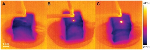 Figure 10 Thermal images of the pig tissue injected with water (A) 0.01 g/mL fresh magnesium nanoparticle aqueous solution (B) and 0.02 g/mL fresh magnesium nanoparticle aqueous solution (C) taken after 1 minute of laser irradiation at 1 W.