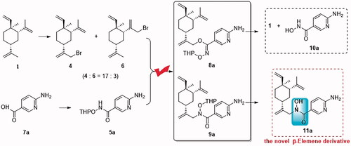 Figure 4. The discovery of N-alkyl-N-hydroxyl carboximate derivatives of β-elemene.
