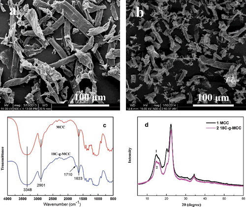 Figure 2. SEM images of untreated MCC (a) and 18C-g-MCC (b), FT-IR spectra (c) and XRD patterns (d).