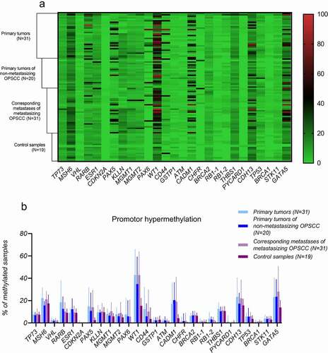 Figure 1. MS-MLPA results of DNA methylation: A) heat map representing the methylation profile of selected tumour suppressor genes in the analysed samples (% of methylation) and B) promoter hypermethylation of 25 studied tumour suppressor genes (% of methylated samples).