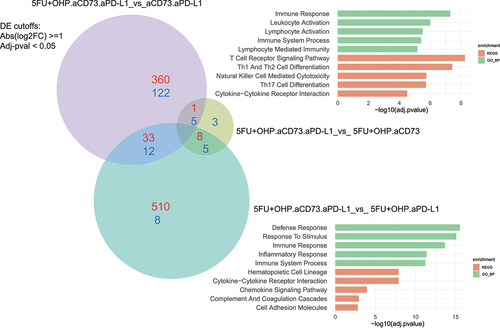 Figure 4B. Transcriptome-based deconvolution of key effects mediated by combination. Deconvolution of RNAseq analysis revealed the key pathways affected by addition of aCD73 and 5FU+OHP were the immune response activation pathways. Enriched pathways, KEGG (Kyoto Encyclopedia of Genes and Genomes) pathway enrichment KEGG, green) and gene Ontology>biological process (GO BP, red), for the up-regulated genes are shown (DE cut-off values used were log2FC ≥1 and adj-pval < 0.05).