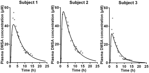 Figure 2. Model simulations of the individual experimental data from the Asiedu’s study [Citation16] (N = 3 subjects: 1, 2 and 3). The measured total DMSA concentrations in plasma are represented by symbols and the predicted ones by a continuous line.