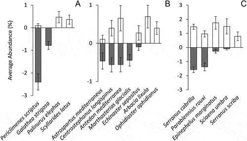 Figure 3. Average percent abundance ± SE of species recorded in more than three sites, divided in Crustaceans (A), Echinoderms (B) and Fishes (C), according to the substrate type. Data normalized on the number of photos and cubic-root transformed. Grey bars, granite-selected species; White bars, limestone-selected species.