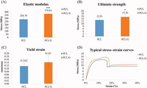 Figure 4. (A) Elastic modulus; (B) Ultimate strength; (C) Yield strain; and (D) Typical stress-strain curves of PCL and PCL/G. Mechanical strength significantly improved in the PCL/G group. *p< 0.05, ***p< 0.001 compared to PCL.