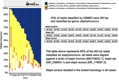 Figure 2 QIIME2 view of top three bacterial genera identified in individual specimens. Only Propionibacterium was classified to the species level. The top 10 Staphylococcus reads were aligned against three species of Staphylococcus; Staph aureus gave the lowest homology.