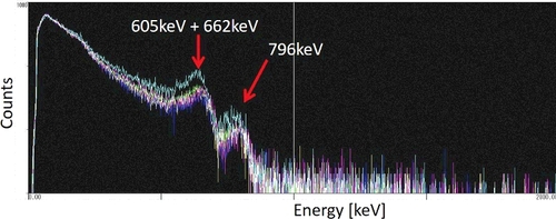 Figure 10. Energy spectra of the background measurement in the northern part of Fukushima Prefecture.