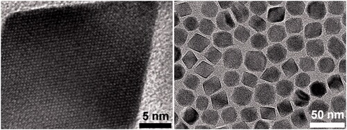 Figure 2. HRTEM and TEM micrographs of nanoparticles obtained by thermal decomposition, modifying surfactant concentration and reaction time (reproduced with permission of the Royal Society of Chemistry from Salas et al. [Citation39]).