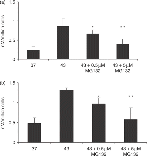 Figure 2. Effect of exposure to MG-132 on HSP70 release. 1 × 106 cells per ml PC-3 (a) and LNCaP (b) cells were incubated with 0.5 and 5 µM of MG132 (0.5 and 5, respectively) or no treatment with MG132 (43) followed by heat treatment at 43°C for 30 min. The control group was not treated with heat nor MG132. Supernatants were taken and analysed for the presence of HSP70 by ELISA. Statistical analyses compared conditions MG132 0.05 μM vs. 43 30 (*p < 0.05) in (a) and (b); while MG132 5 µM vs. 43 30 (**p < 0.01) in (a) and (b). Data represents the mean ± SD of three independent experiments.