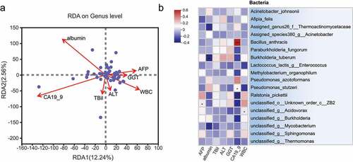 Figure 4. Environmental factor analysis showing the correlation of bacterial abundance with clinical data. (a) RDA/CAA environmental factor analysis shows the degree of influence of clinical factors on microbiota composition, with individual points in the figure indicating tumor tissues and arrows indicating clinical factors. (b) Correlation analysis of clinical factors with the abundance of microbiota in tissues. The horizontal axis indicates the common clinical factors in ICC, including alpha-fetoprotein (AFP), albumin (albumin), total bilirubin (TBil), alanine aminotransferase (ALT), gamma-glutamyl transferase (GGT), glycoantigen 199 (CA19-9) and White blood cells (WBC). The vertical axis indicates the bacteria identified by 16S rRNA. Different colors in the graph indicate the magnitude of the correlation coefficients; * 0.01 < P ≤ .05, ** 0.001 < P ≤ .01, *** P ≤ .001.