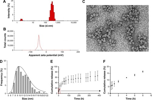 Figure 1 Size distribution (A) and surface potential (B) were determined by dynamic light scattering. Transmission electron microscopy (C) and frequency histograms (D) of DOX-loaded GM1 micelles. Scale bar: 50 nm. Drug release profile of DOX from GM1 micelles at pH 7.4 and 37°C in PBS buffer (E and F).Abbreviations: DOX, doxorubicin; PBS, phosphate-buffered saline.