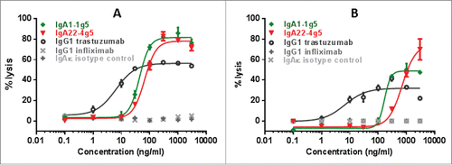 Figure 6. ADCC assays with IgA1-1g5 and IgA22-4g5 purified as described in Figure 2, IgG1 trastuzumab and isotype controls using human whole blood as effector cells and BT-474 (A) or SK-BR-3 (B) as target cells. Cell lysis was measured after 24 hours. Representative graphs of data from one donor per target cell are depicted. n = 3 replicates; ± SEM.