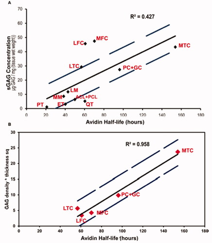 Figure 10. The relationship of avidin half-life with GAG concentration or density. (A) In different tissues, the relation of GAGs concentration with Avidin half-lives. (B) The correlation of Avidin half-lives with GAGs concentration* tissue thickness square for different tissue types. Reprinted with permission from Bajpayee et al. (Citation2015).