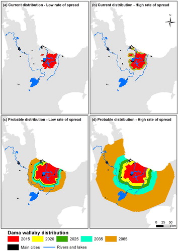 Figure 3. Predicted distributions of dama wallaby at five time periods using four different estimates of rate of spread and two distributional polygons. A–B, Expand dama wallaby 2015 ‘current distribution’ using either a low (3.1 m yr−1) or a high annual rate of spread (92.9 m yr−1), respectively; C–D, expand dama wallaby 2015 ‘probable distribution’ using either a low (592.9 m yr−1) or a high annual rate of spread (1981.3 m yr−1), respectively.